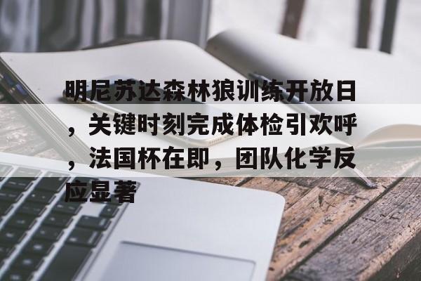 明尼苏达森林狼训练开放日，关键时刻完成体检引欢呼，法国杯在即，团队化学反应显著的简单介绍-玖鼎体育